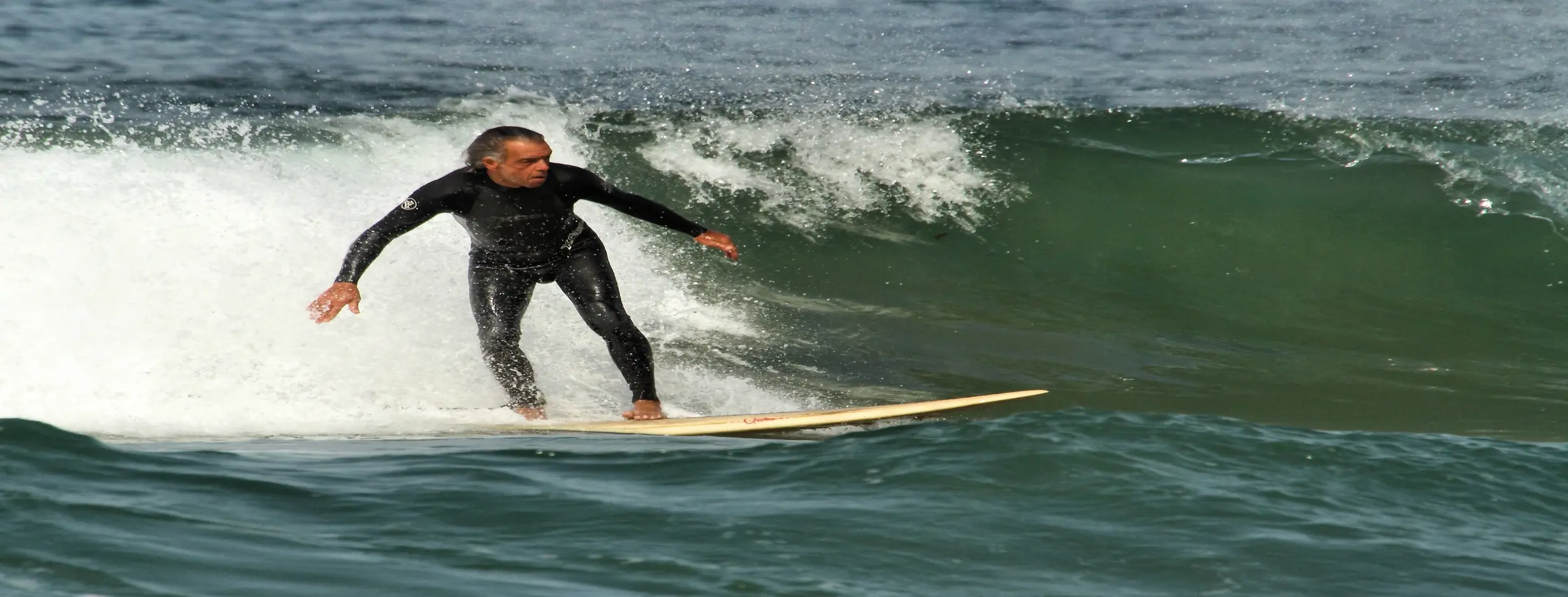 Image for Santa Monica Surfing
